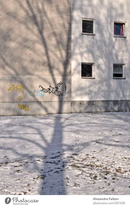 Tree falls on house. Living or residing House (Residential Structure) Tall Town house (City: Block of flats) Car Window Twigs and branches Winter Cold Climate