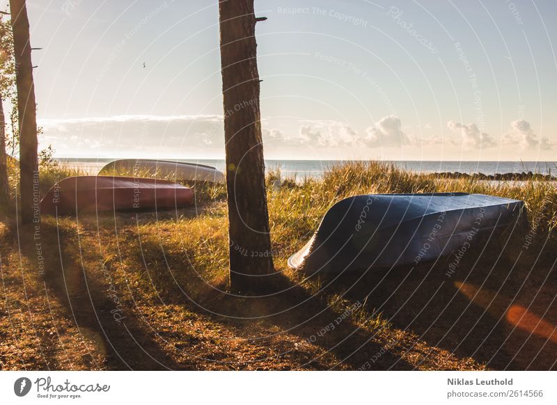 Sleeping boats Adventure Far-off places Summer Sunbathing Landscape Sky Clouds Sunrise Sunset Sunlight Beautiful weather Tree Grass Bushes Foliage plant Coast