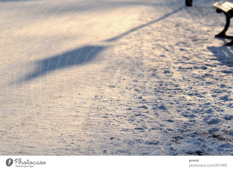 lantern Winter Snow Park Brown White Shadow Park bench Cold Lanes & trails Lantern Lamp post Colour photo Exterior shot Deserted Copy Space bottom Morning Light