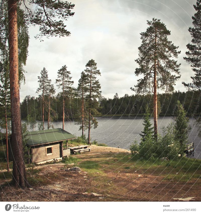 The bear house Environment Nature Landscape Plant Elements Earth Sky Clouds Weather Tree Forest Lakeside Hut Brown Green Loneliness Idyll Finland Scandinavia