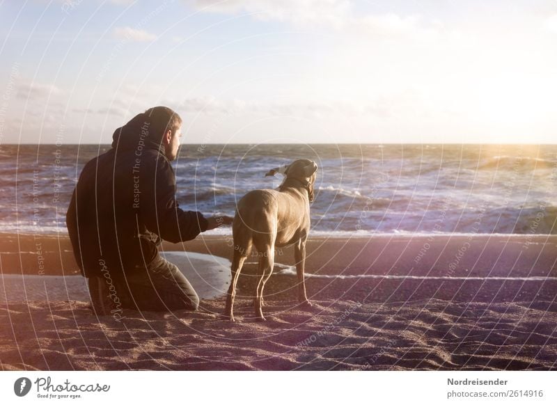 rustle the sea Life Harmonious Senses Vacation & Travel Far-off places Freedom Beach Ocean Human being Masculine Young man Youth (Young adults) Elements Water