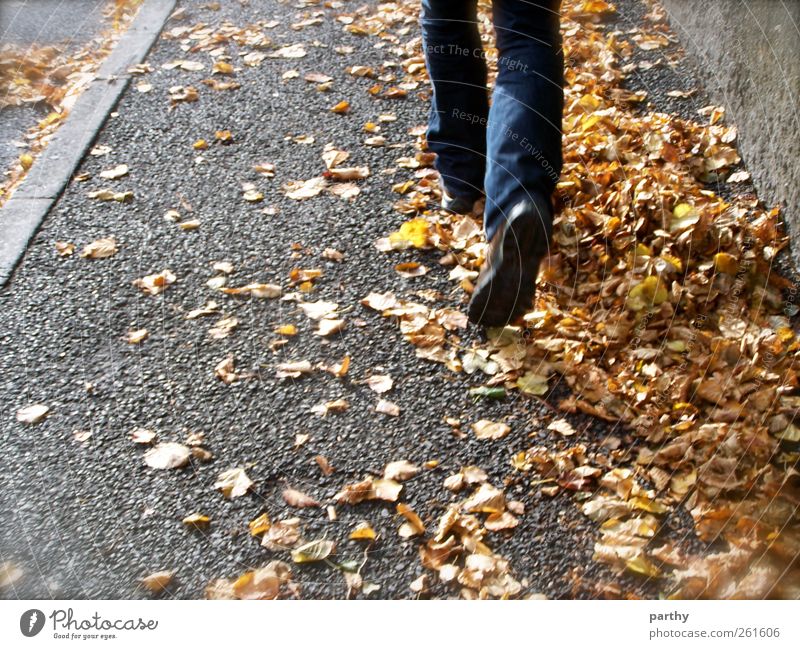 Quo vadis? Human being Masculine Feet 1 18 - 30 years Youth (Young adults) Adults Nature Autumn Walking Colour photo Exterior shot Day Rear view