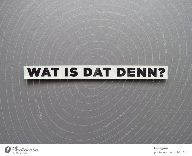 WHAT IS THIS? Characters Signs and labeling Communicate Gray Black White Emotions Curiosity Interest Surprise Irritation Language Dialect The Ruhr