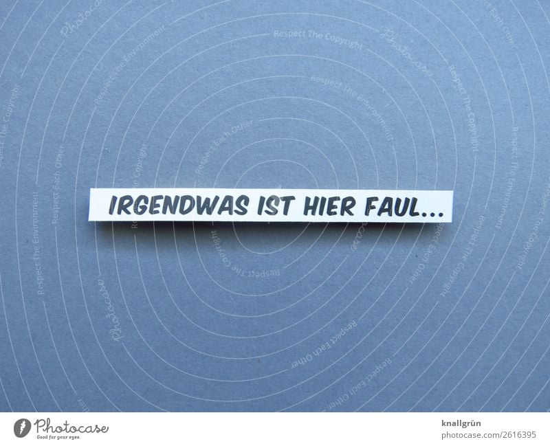 SOMETHING'S LAZY HERE... Characters Signs and labeling Communicate Gray Black White Emotions Watchfulness Concern Threat Intuition Colour photo Studio shot