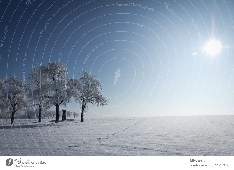 irendwo in thuringia Nature Landscape Horizon Winter Beautiful weather Ice Frost Snow Illuminate Cold Environment Far-off places Frozen Blue sky Snowscape White