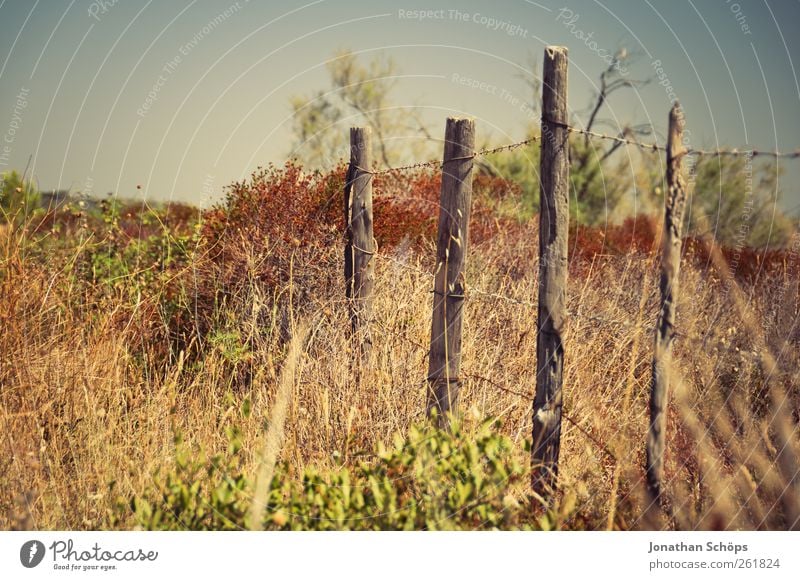 The fence Vacation & Travel Trip Adventure Far-off places Summer Summer vacation Sun Environment Nature Landscape Beautiful weather Drought Fence Fence post