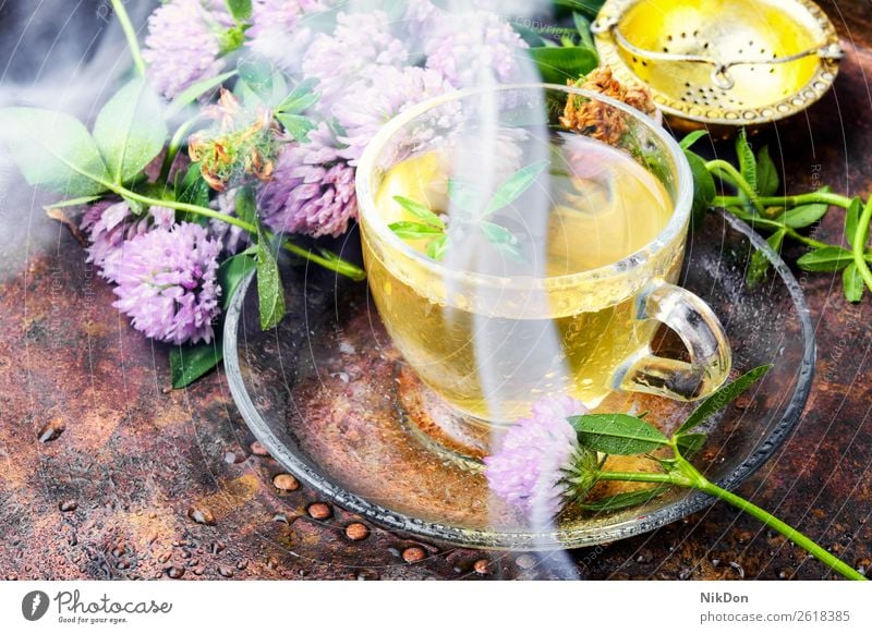 Hot herbal tea with clover hot boiling water smoke steam drink healthy cup leaf flower beverage green natural medicine plant petal nature aromatic teacup mug