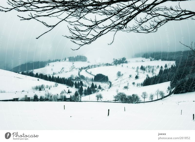 ~ Landscape Sky Clouds Winter Weather Bad weather Fog Snow Tree Hill Village Street Cold Blue Black White Idyll Lanes & trails Branch Colour photo