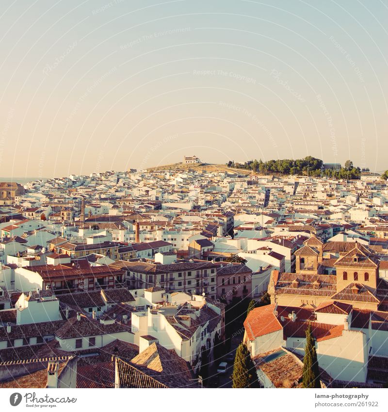 Antequera [XV] Vacation & Travel Tourism City trip Hill Andalucia Spain Village Small Town Downtown Old town House (Residential Structure) White Vantage point