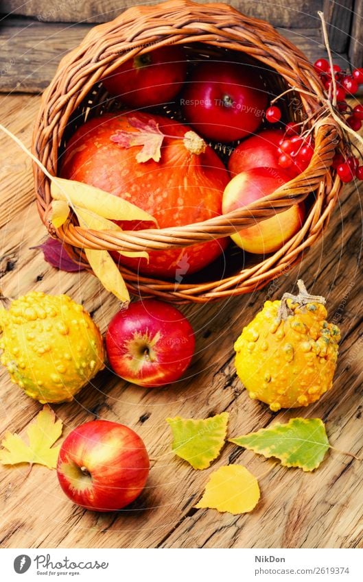 Autumn apples and pumpkins autumn fall background food organic season harvest nature yellow natural fruit orange healthy vegetable seasonal foliage fresh