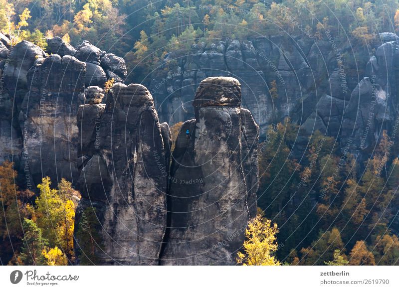 monkey stones Affensteine Mountain Mountaineering Abseil Rope team Elbsandstone mountains Rock Vacation & Travel Autumn Autumn leaves Climbing Leaf Nature