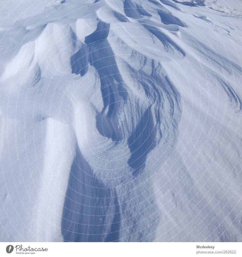 Cold blue dunes Environment Nature Landscape Elements Water Sun Winter Beautiful weather Snow Snowcapped peak Authentic Infinity Wet Natural Blue Gray White