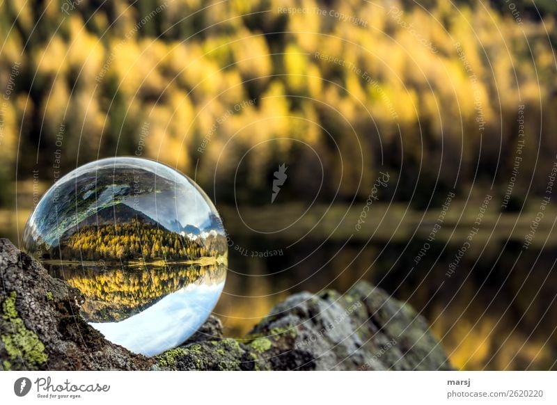 Autumn and lake in the ball Harmonious Mountain Larch Forest Alps Lake Duisitz Lake Mountain lake Illuminate Elegant Autumnal Glass ball Autumnal colours