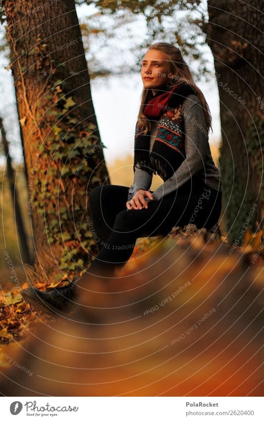 #A# Golden hour Feminine 1 Human being Esthetic Woman Sit Forest Autumn Autumnal Autumn leaves Autumnal colours Early fall Automn wood Autumnal weather