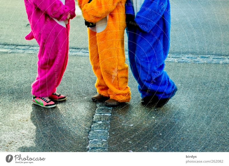 carnivalists wrapped in cuddly colorful bunny costumes Carnival costume Party mood Joy Street Carnival Androgynous celebrations fun Funny fastnet Carnivalists