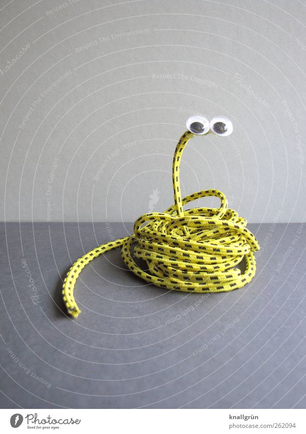 grass snake Animal Snake 1 Observe Funny Round Yellow Gray Black Joy Elastic band Striped Eyes Saucer-eyed Handicraft Wound up Colour photo Studio shot Deserted