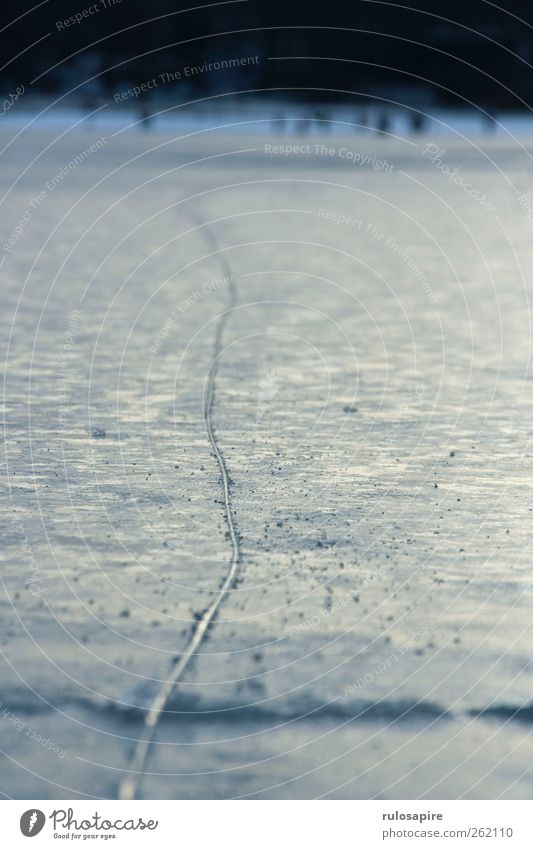 Tracks in the ice #1 Ice-skating Winter sports Frost Coast Baltic Sea Elegant Blue Gray Success Willpower Accuracy Contentment Cold Climate Concentrate