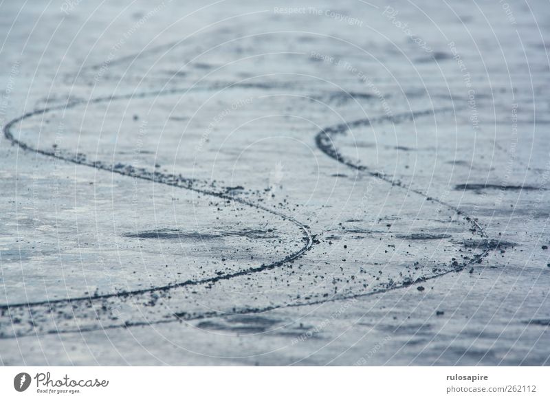 Tracks in the ice #2 Winter Winter sports Ice Frost Coast Baltic Sea Elegant Blue Gray Success Willpower Accuracy Contentment Cold Climate Concentrate Precision