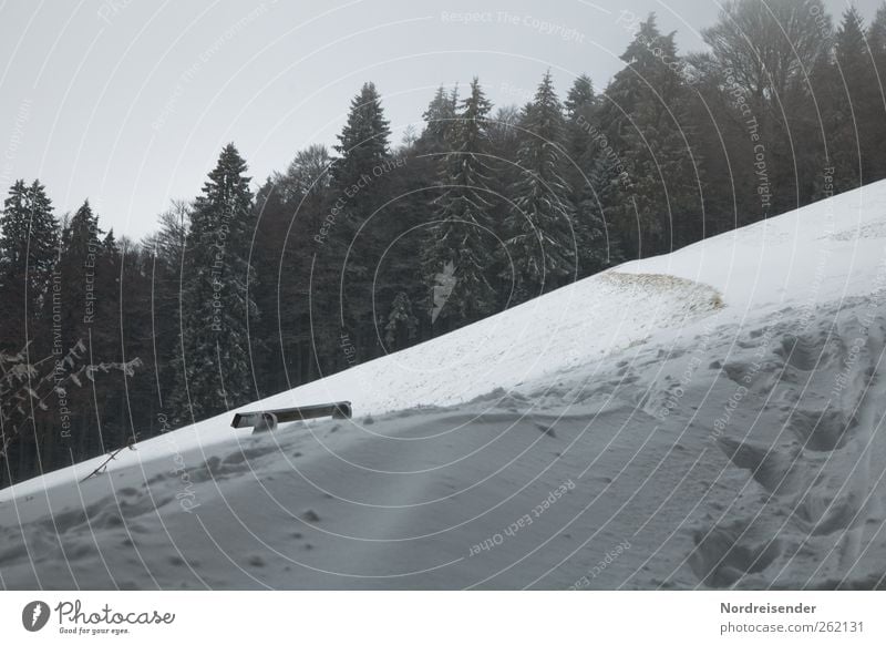 tree praises | inclined bench Winter Snow Winter vacation Hiking Winter sports Landscape Climate Ice Frost Forest Mountain Footprint Freeze Walking Dark