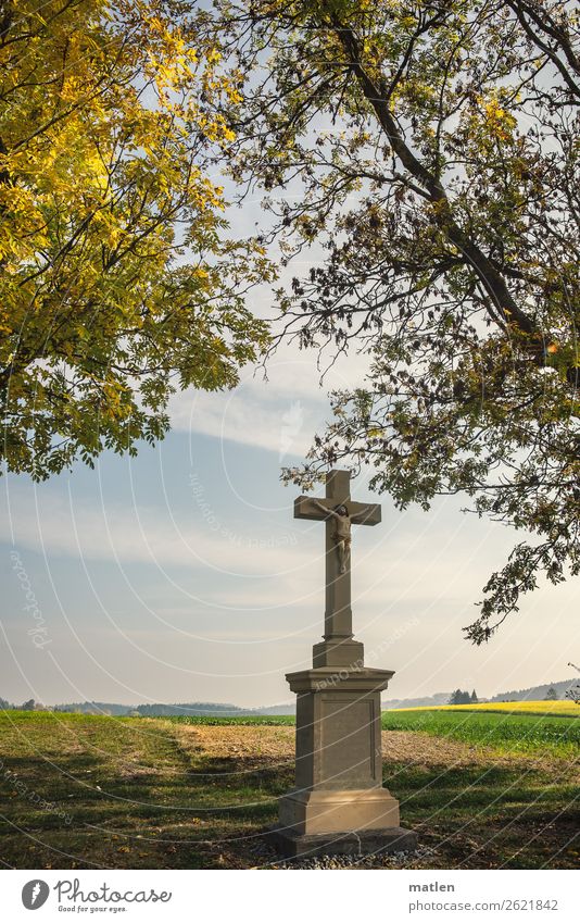 praise of God Sky Clouds Horizon Autumn Beautiful weather Grass Meadow Field Mountain Deserted Blossoming To dry up Limp Crucifix Canola field Autumn leaves