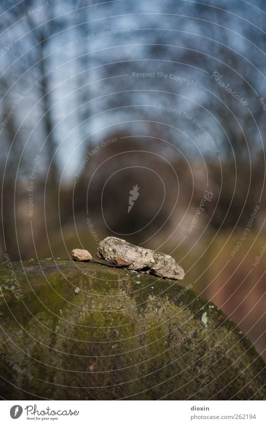 Silent as a stone Worms Deserted Cemetery Tourist Attraction Holy Sand Stone To console Hope Belief Sadness Grief Death Religion and faith Judaism