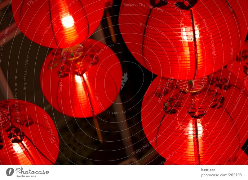 chinese new year Lampion New Year's Eve China Chinese New Year Symbols and metaphors Red Asia Feasts & Celebrations Deserted Many Lighting Colour