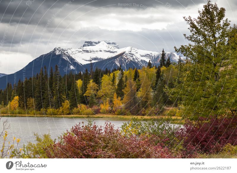 Autumn Vacation & Travel Mountain Nature Landscape Plant Clouds Tree Bushes Forest Hill Rocky Mountains Snowcapped peak Lakeside Vermilion Lakes Yellow Tourism