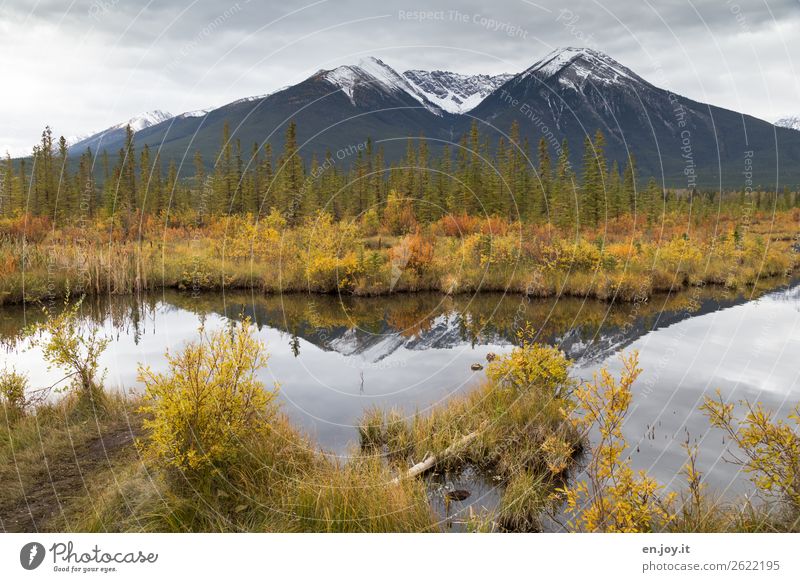 two Vacation & Travel Environment Nature Landscape Plant Sky Clouds Autumn Bushes Coniferous trees Hill Mountain Snowcapped peak Lakeside Vermilion Lakes Yellow