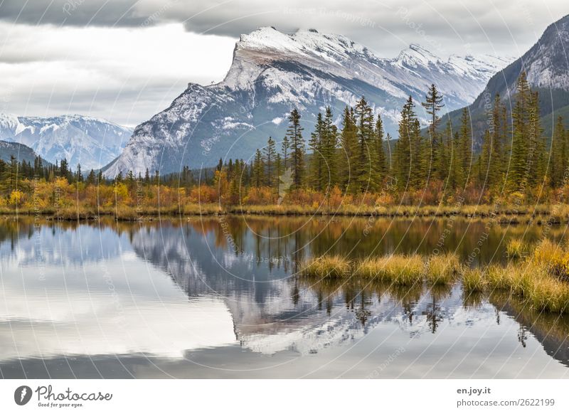 still wind Vacation & Travel Trip Nature Landscape Clouds Autumn Grass Bushes Mountain Lakeside Vermilion Lakes Coniferous trees Idyll Climate Calm Symmetry