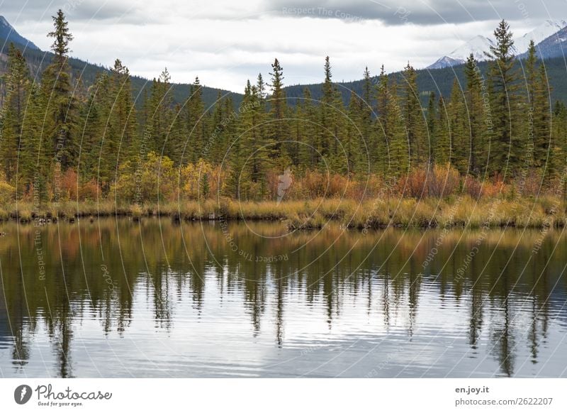 further left Vacation & Travel Trip Environment Nature Landscape Plant Clouds Autumn Grass Bushes Forest Mountain Lakeside Vermilion Lakes Wild Loneliness Idyll