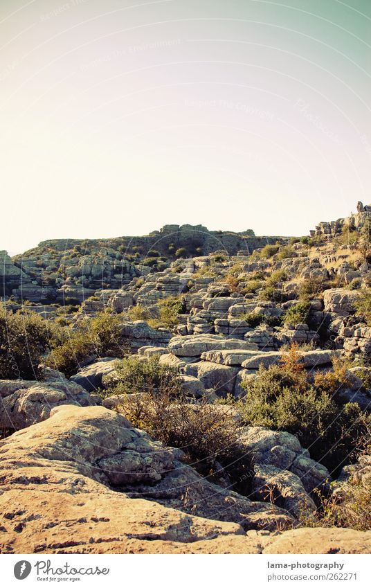 Rocas de Torcal [XIX] Trip Adventure Expedition Mountain Nature Landscape Sunlight Plant Rock Rock formation Erosion Limestone karst karst landscape