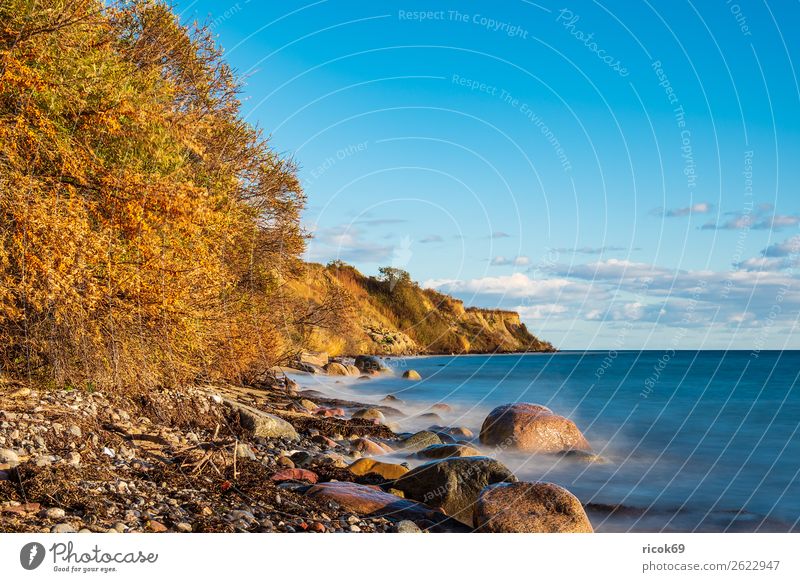 Baltic Sea coast near Klintholm Havn in Denmark Relaxation Vacation & Travel Tourism Beach Ocean Nature Landscape Water Clouds Autumn Tree Rock Coast Stone Blue