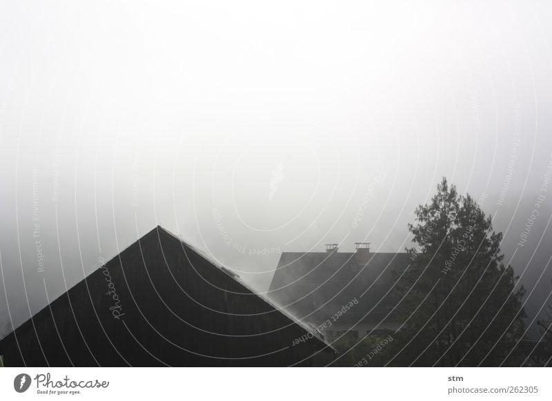 smoky grey Sky Weather Bad weather Fog Tree Village Small Town Deserted House (Residential Structure) Farm Roof Eaves Chimney Dark Simple Cold Gloomy Gray Calm