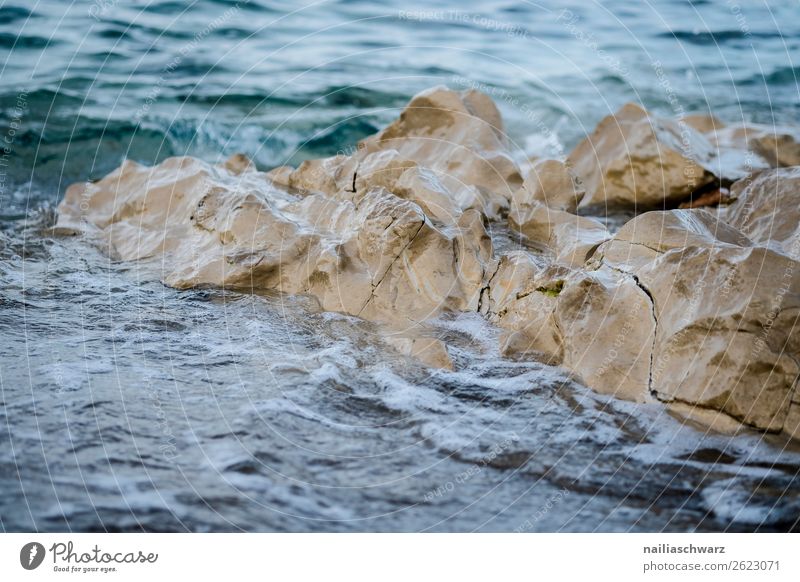 Beach on Crete in summer Greece Summer vacation Mediterranean Ocean bank Rock Water Sun sunny Sunlight Sky warm Blue view Picturesque sight Landscape travel