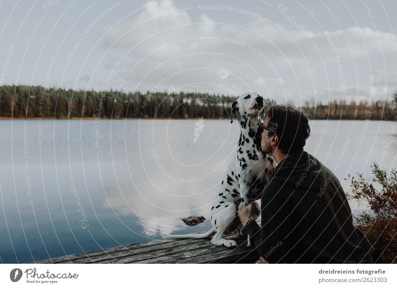 Owner and dog cuddle cuddling at the lake in Sweden Vacation & Travel Tourism Adventure Masculine Man Adults 1 Human being Nature Landscape Autumn Lakeside Dog