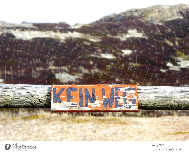 NO WAY... Landscape Dune Lanes & trails Old Orange Bans Signs and labeling Passage Characters Flake off Joist Handwriting Painted Signage Warning label Sand