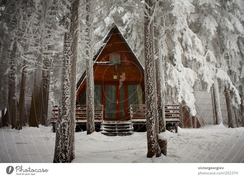 winter hut Vacation & Travel Tourism Winter Snow Winter vacation Mountain House (Residential Structure) Nature Ice Frost Tree Forest Hut Cold White Safety