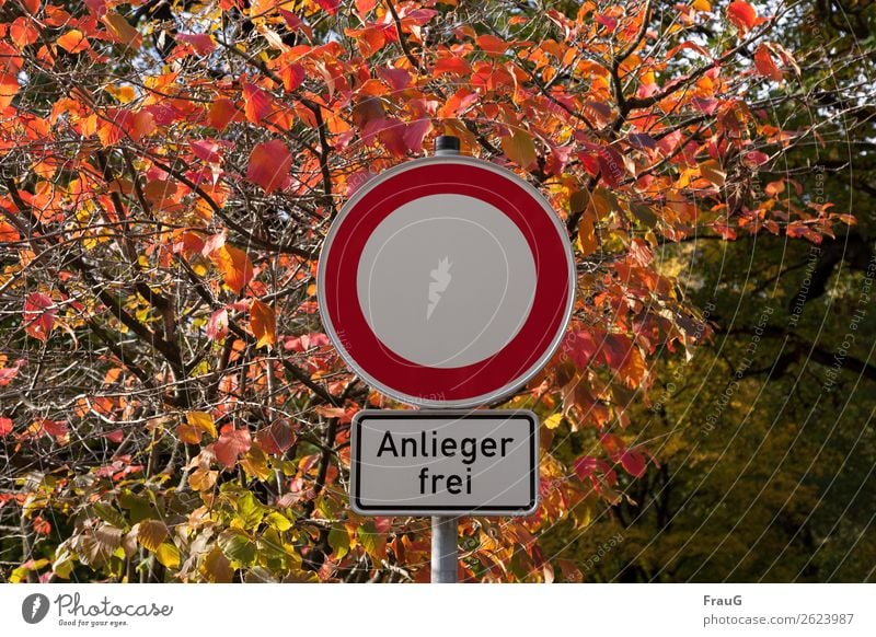 residents free Autumn Bushes Leaf Road sign Illuminate Multicoloured Bans exception mandatory character Light Autumnal colours Colour photo Exterior shot