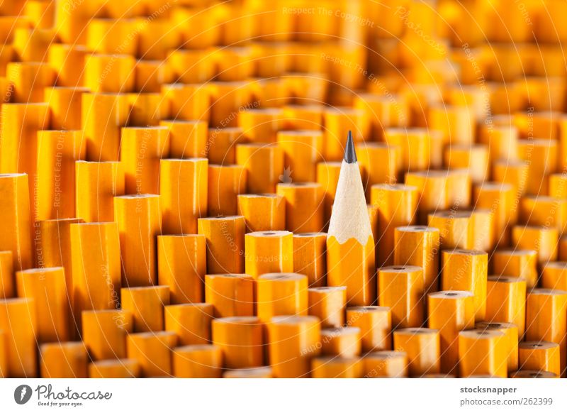 Pencils Deserted Individual Difference Best Still Life Exceptional Single Uniqueness up standing out Graphite Yellow Object photography tip Sharp Between