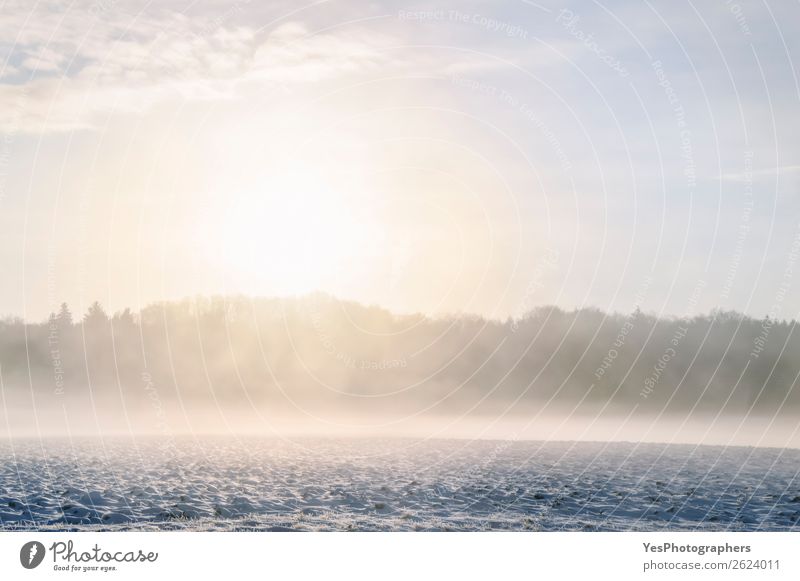 Winter misty sunrise over field and forest Snow Christmas & Advent Nature Landscape Weather Fog Meadow Forest Dream Bright Natural White Germany Atmosphere