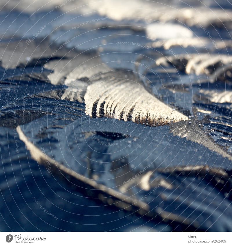 Ice on sheet Climate Frost Car Car roof Whimsical Varnish Frostwork Cold Curve Ice crystal Blue Gray White Colour photo Subdued colour Exterior shot Close-up