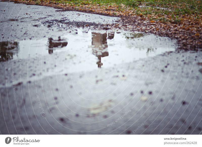 bring them all back to life Autumn Bad weather Rain Park Cemetery Lanes & trails Threat Dark Death Tombstone Puddle Colour photo Subdued colour Exterior shot