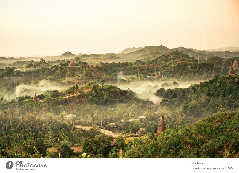 Temple of Mrauk U at dawn Fog Virgin forest Hill Myanmar Ruin Pagoda Belief Spirituality Mystic Historic Buildings Doomed Mysterious Subdued colour