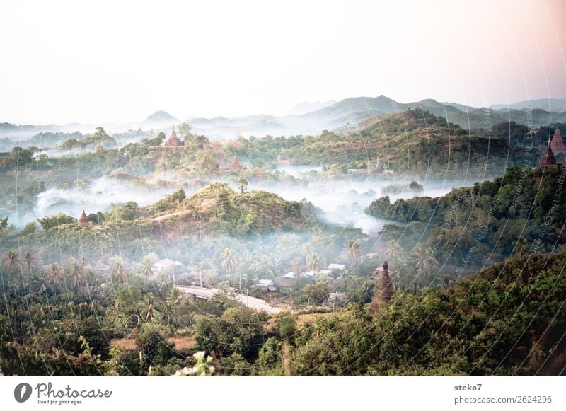 Temple of Mrauk U at dawn Fog Virgin forest Hill Myanmar Ruin Tourist Attraction Pagoda Belief Decline Past Transience Mysterious Buddhism Spirituality Mystic