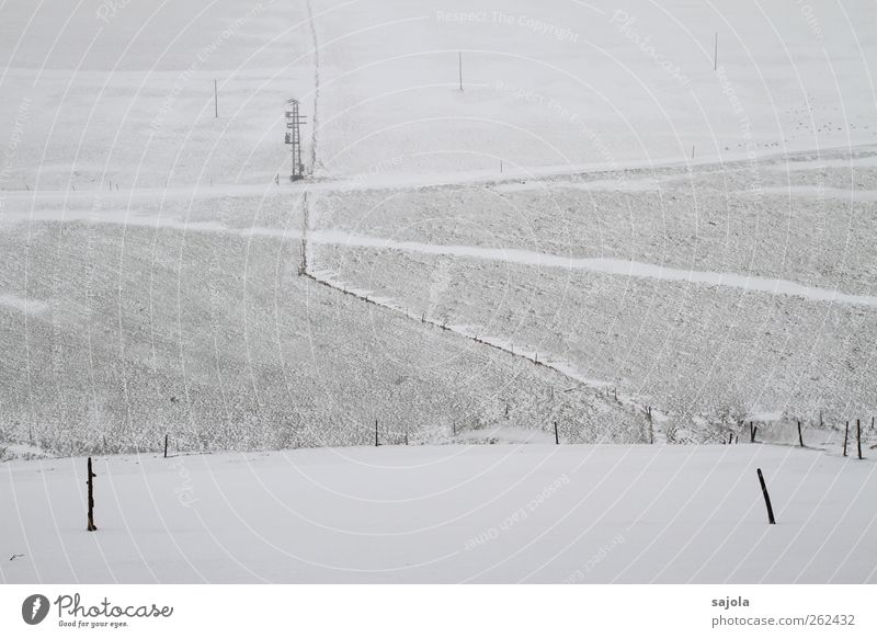 Tree praise in the field. Environment Nature Landscape Winter Snow Field Cold Gray Black White Calm Sadness Fence Far-off places Line Building line Pole