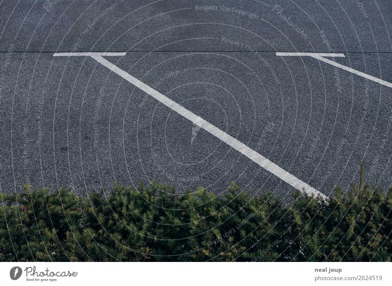 Parking in the park Career Closing time Hedge Transport Parking lot Wait Free Gray Green Diligent Hope Loneliness Beginning Expectation Break Subdued colour