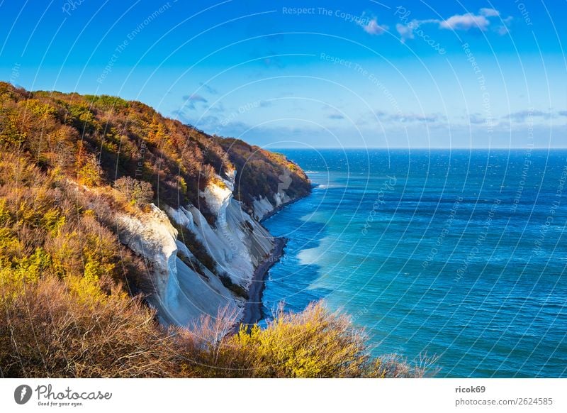 Baltic Sea coast on the island of Moen in Denmark Relaxation Vacation & Travel Tourism Beach Ocean Nature Landscape Water Clouds Autumn Tree Forest Rock Coast