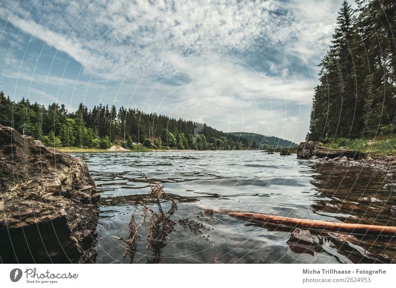 Forest lake, sky and clouds Environment Nature Landscape Water Sky Clouds Sunlight Beautiful weather Tree Lake Lütschetal barrier Thuringia Thueringer Wald