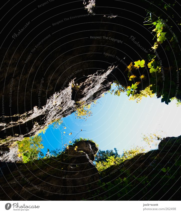 Awakening in the rock Mountain Environment Nature Elements Cloudless sky Beautiful weather Plant Grass Foliage plant Franconian Switzerland Stone Growth Dark