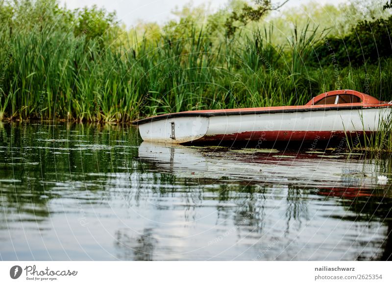 Uecker, old boat Boating trip go boating boat tour River River bank River water Foliage plant Green space Exterior shot Watercraft Tourism Deserted